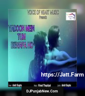 Yadoon Mein Tum Bewafa Ho Amit Gupta song cover